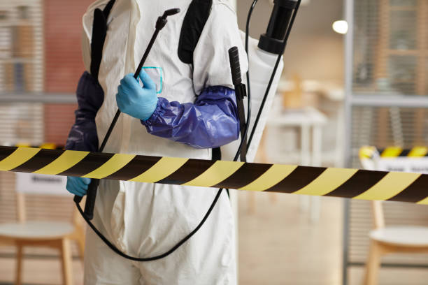 Professional Sewage Cleanup technician working in Worthington, KY